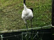 Ђ낳̈ۃcZ^[̓eʐ^1