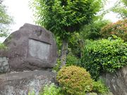 jR񂳂̑ΒtՂ̓eʐ^1