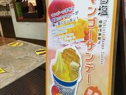 fortunatả̉X@ aʂX̓eʐ^1