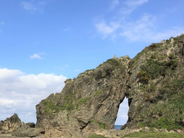 �v�ē��ɂ���~�[�t�K�[_�~�[�t�K�[