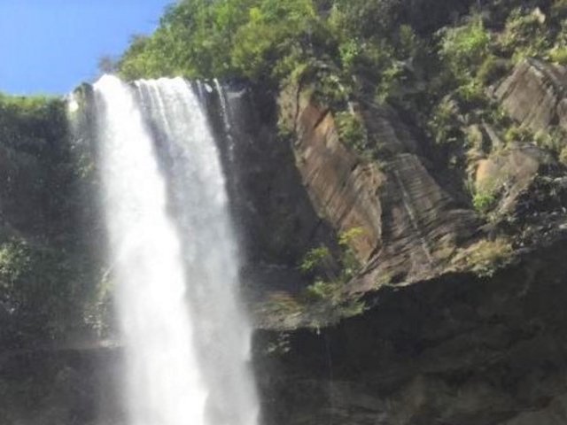 �����c�A�[�Ńs�i�C�T�[���̑��_�s�i�C�T�[���̑�