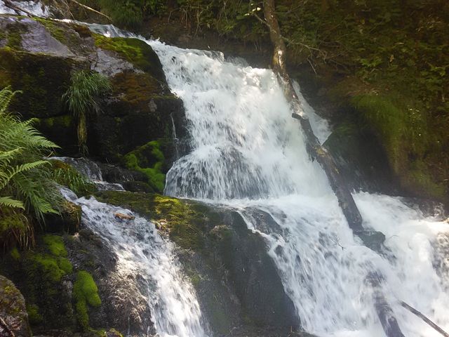 �s���̑�Q�B�{���ɂ����ڂ̑O�ł�_�s���̑�