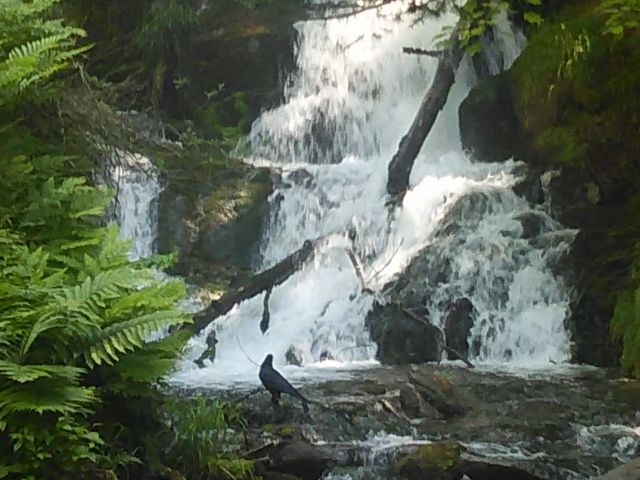 JX𒭂߂Ă܂B܂Ă͂߂Ėڂɂił_s̑