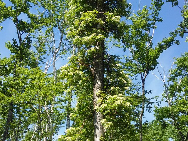 ���r����s���̑�܂ł̓��ɂ������i�F�B�؂Ɍ��������t���Ԃ��炩���Ă��܂�_�s���̑�