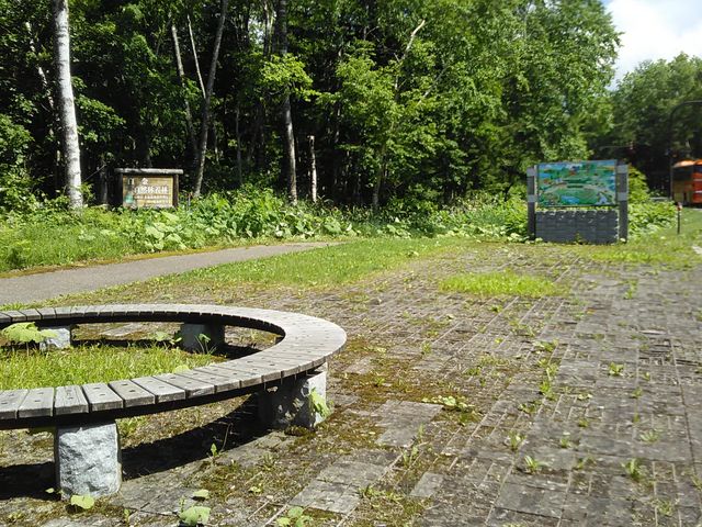 �����肸�炢�ł����V�����Q�l�B���̓����V�����ł�_�s���̑�