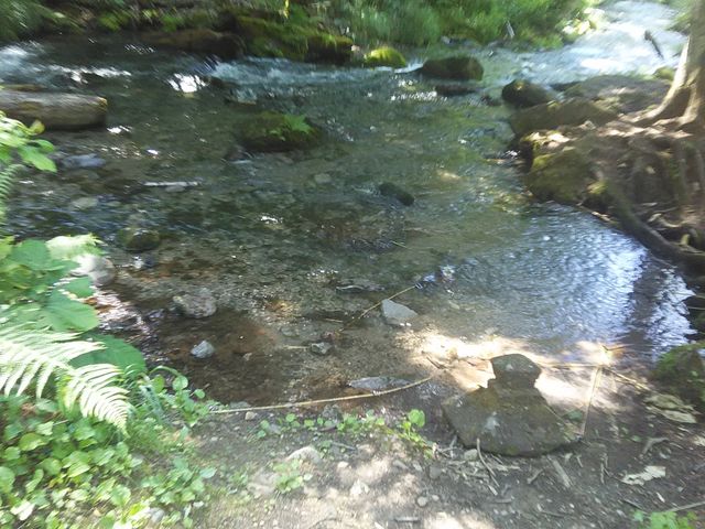 ���ɐG��邱�Ƃ��\�ł��B_�s���̑�