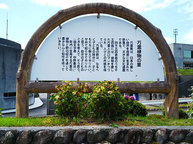 �ē���_���t�̗�����