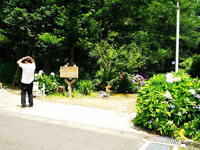 ��������_���t�̗�����