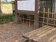 ӂ񂳂̂̓E^p̒rNQւ̓eʐ^1