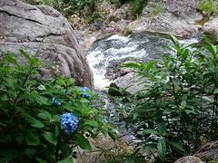 �X�k�v����̌��A��̑�ւ̓��e�ʐ^1