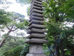 ayukononi����̔��F���ւ̓��e�ʐ^1