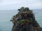 PADISSDḦ؉\ecQn̓eʐ^1