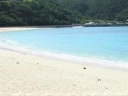 kenken̈gAr[`̓eʐ^1