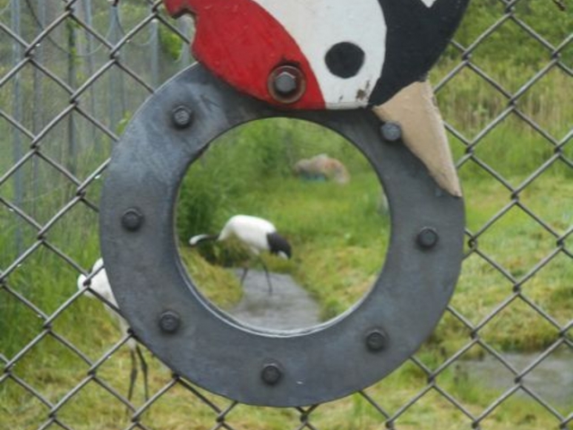 �J�����A�C��ʂ���_�O���ߎ��R����