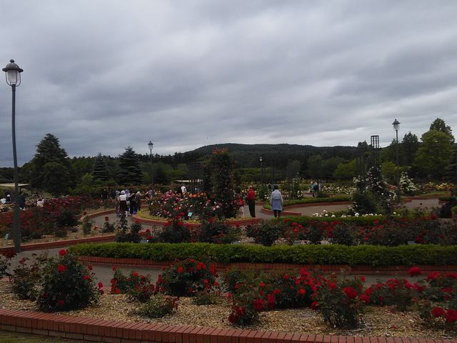 �o����_����݂�������o����