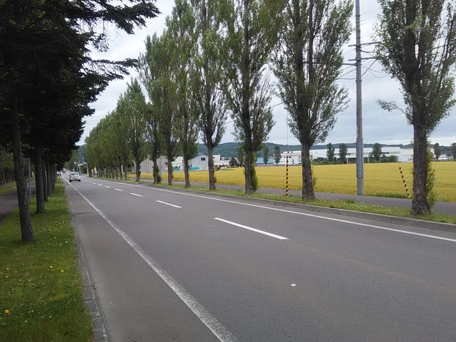 ����݂�������ɍs�����ؓ�_����݂�������o����