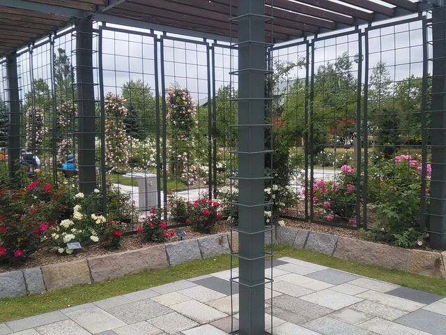 �o�����Q_����݂�������o����