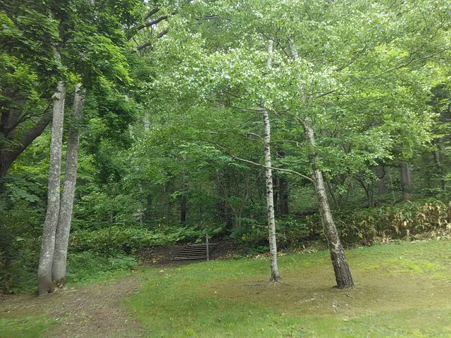 �͂܂Ȃ��̋u�ɂ���΁B_����݂�������o����