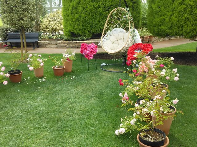 ���������F�ʊ��B�����ň֎q�ɍ���ʐ^�B��܂��I�I_����݂�������o����