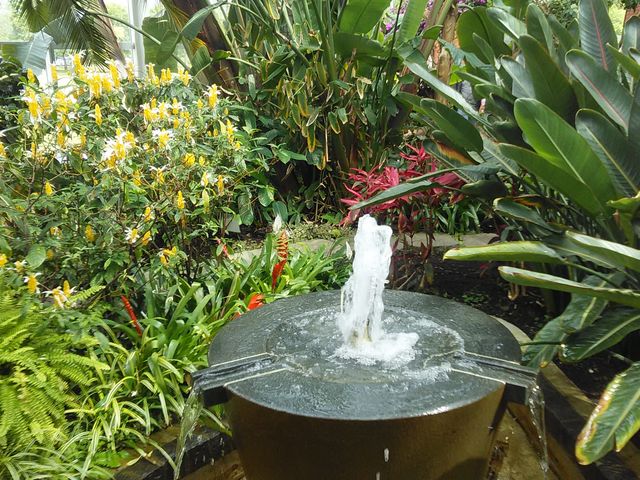 ���������F�ʊ��Q_����݂�������o����