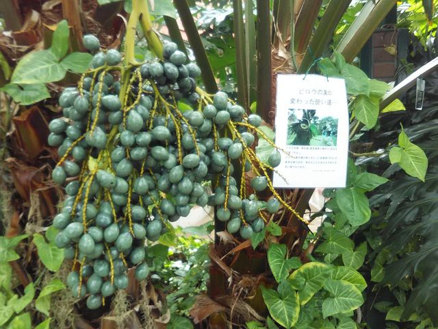 ���������F�ʊ��R_����݂�������o����