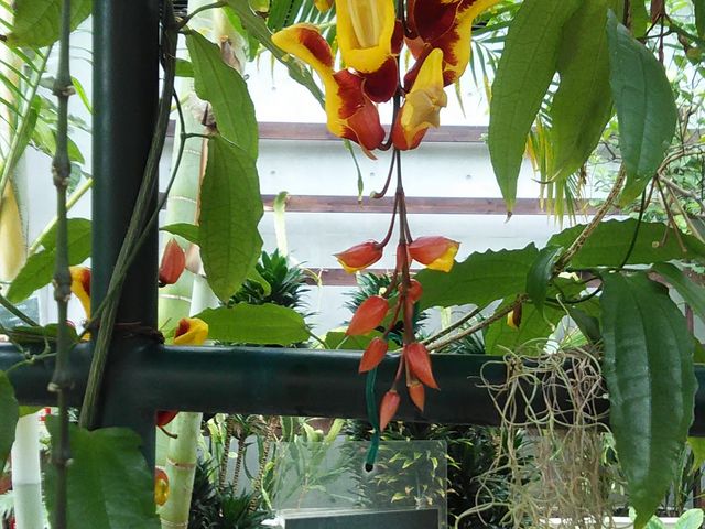 ���������F�ʊ��S_����݂�������o����