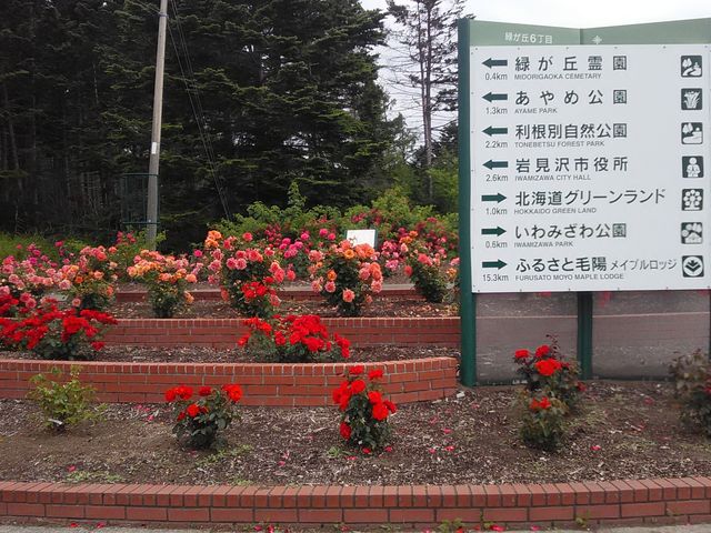 ����݂�������ɍs�����̓r���B�o�������o�}���B_����݂�������o����