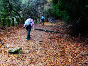 ǁ[̓CRiꌧÎsj̓eʐ^2