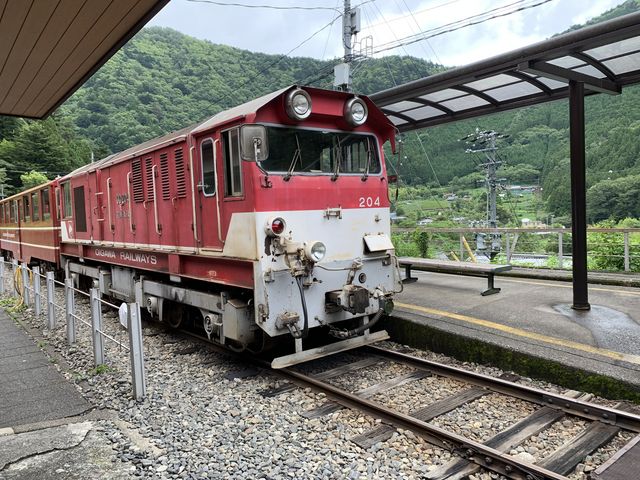 傤Ǘǂ^C~OŁA܂I_ڑZ