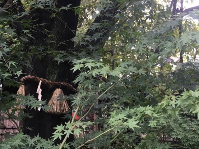 ��_��_������_�{