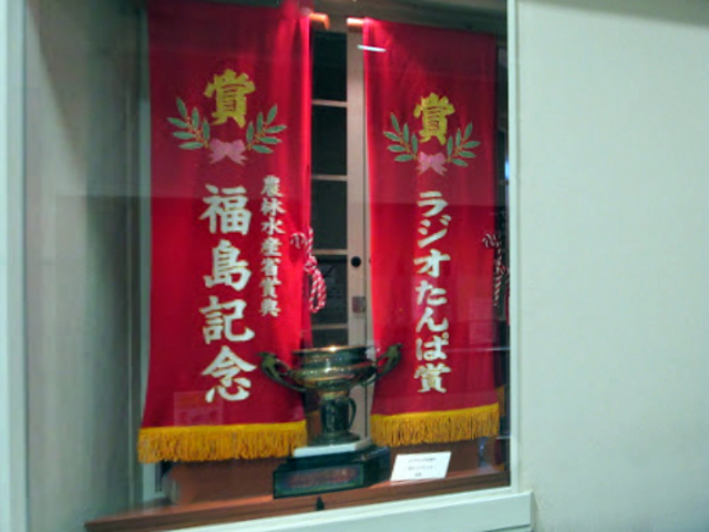 �W���i�B_�������n��