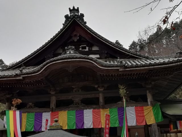 �{���ł�_�����{��