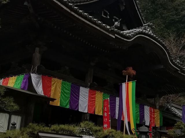 �{���ł�_�����{��