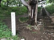 �h�����Ƃ䂤�q����́i�V��j��q�R�Õ��̓��e�ʐ^1