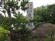 マロンシューさんの大徳寺（愛知県蒲郡市）の投稿写真5