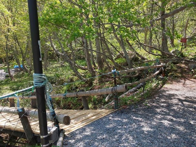 �����Ɍ�����̂�����ł��O�O�����܂��I�I�I_�F�̓�����