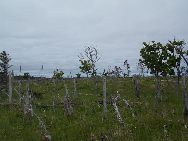 �厩�R�̏t����_�t����