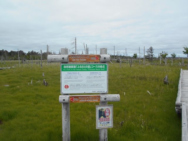 Vr̕_ɂŔBẼR[X͂ŐvĂ܂B_t