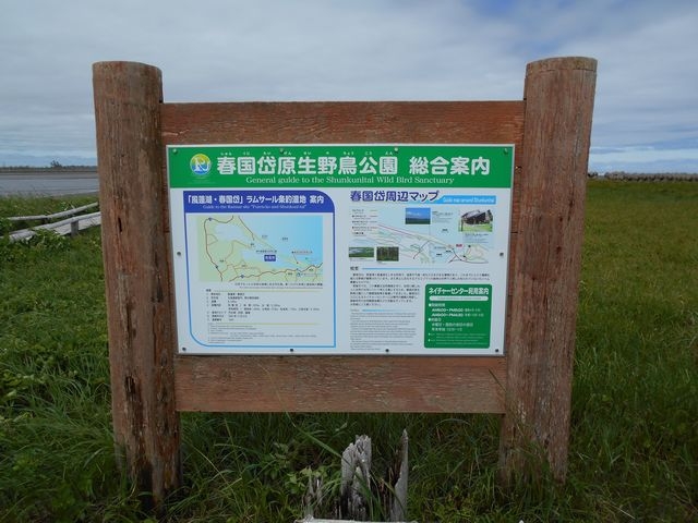 �V���������ɂ���̈ē��Ŕ�_�t����