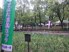 ܂܂̖{̉Ԃ傤Ԃւ̓eʐ^1