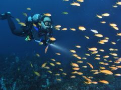 ^Pq̈ɓ_CrOXN[ gbcւ̓eʐ^1