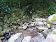 ܂܂̋G߁EԌ̃X|bg`ā`̓eʐ^1