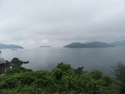 �L������̊O�j�����̓��e�ʐ^1