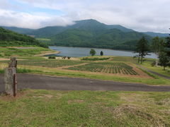 kukîȂ܌΂ւ̓eʐ^1