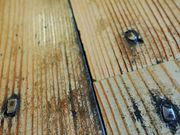 񂳂̋JqwZZɂ̓eʐ^20