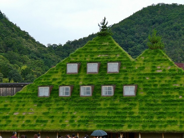 ���ꌧ�E���R���[�i �ߍ]����_���R���[�i �ߍ]����