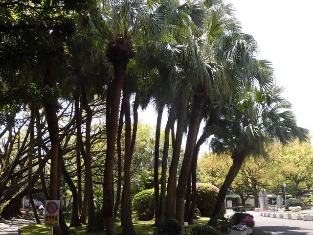 �A_�{�茧��