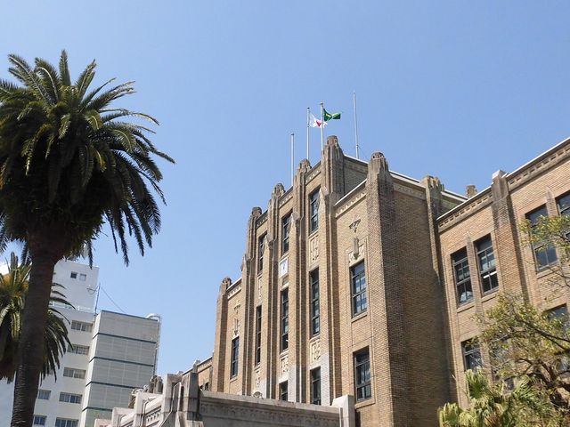 �C_�{�茧��