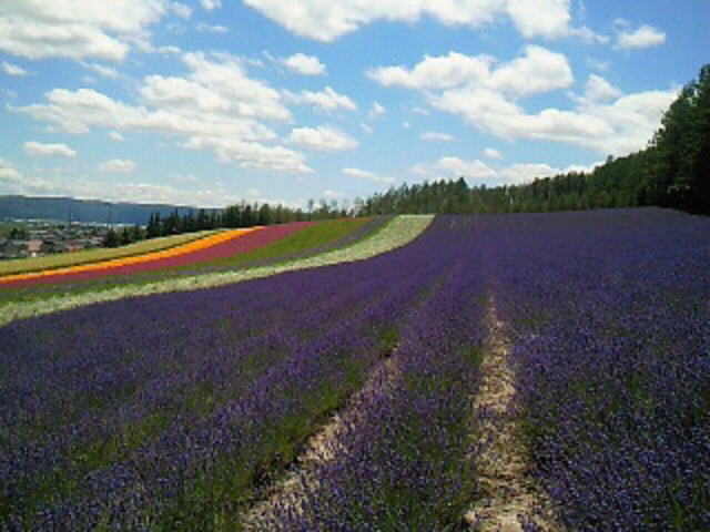 ���x���_�[���@_���x���_�[��