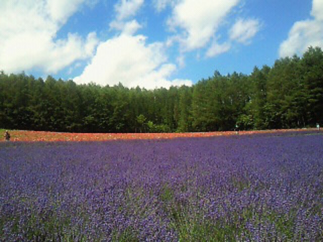 ���x���_�[���A_���x���_�[��